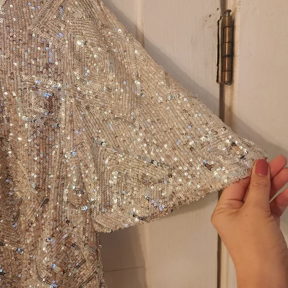 Skies Are Blue Top, Silver Sequined Cropped, Sz Small EUC Party, Cocktail, Club - Picture 6 of 14